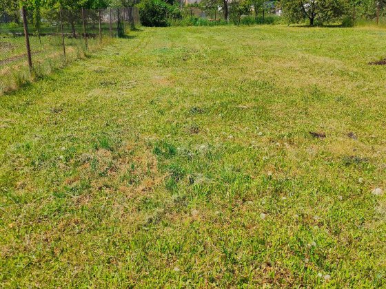 Продам участок в Підгородньому Підгородне