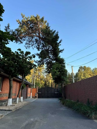 Продажа уникального участка в лесу Обуховка Кировское р-он Коляды - фото 1