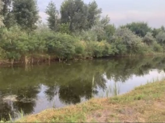 Продам участок со своим берегом в СМТ Обуховка( Кировское) Обуховка