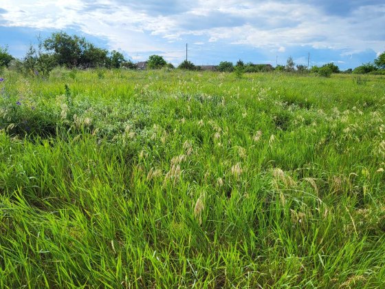 Продам земельну ділянку Обухівка (Кіровське) Обухівка