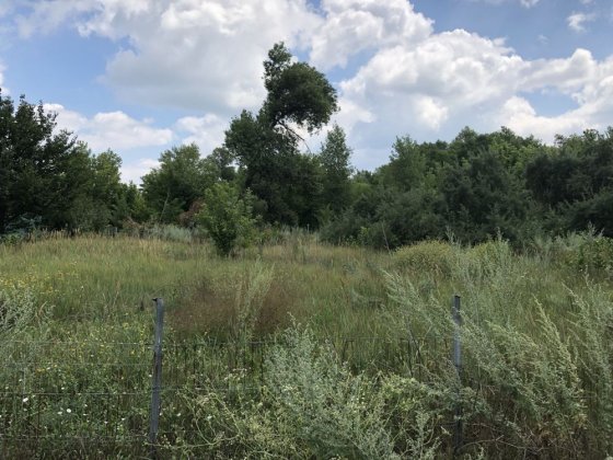 Продам земельну ділянку в садовому товаристві Лісова поляна Обухівка Обухівка