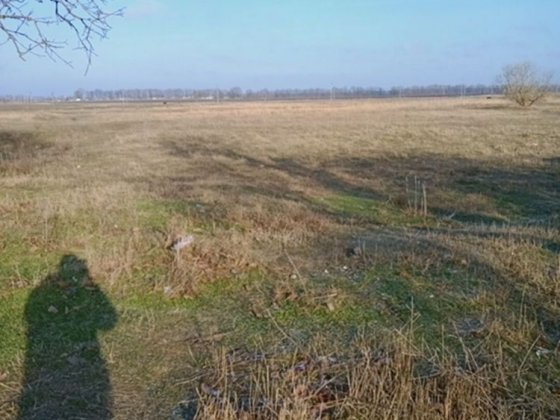 Участок 24.2 соток Підгородне