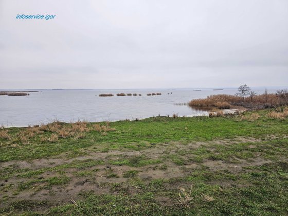 Продам 56 соток із ВЛАСНИМ БЕРЕГОМ біля SunRay (Підгородне) Подгородное