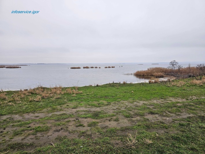 Продам 56 соток із ВЛАСНИМ БЕРЕГОМ біля SunRay (Підгородне) - фото 1