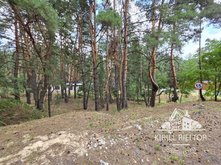 Продажа земельного участка в коттеджном городке «Сосновый Берег» (Обуховка) - фото 1