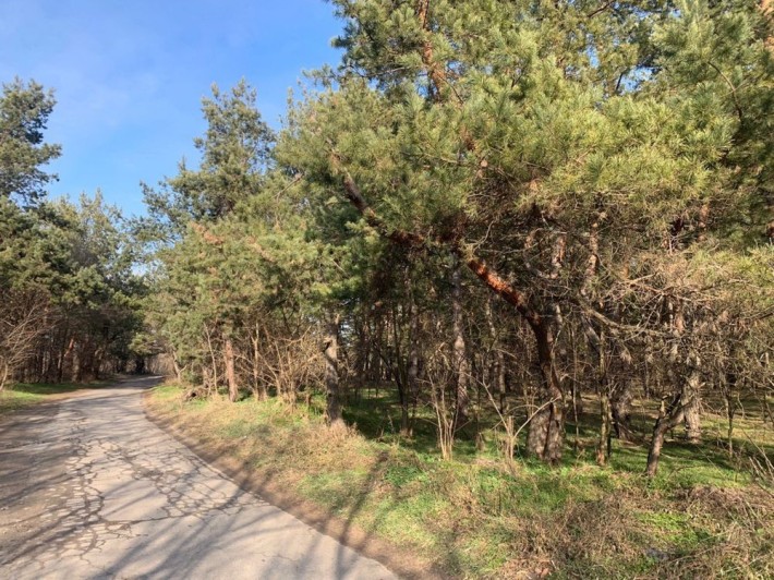 В продаже участки в Обуховке - фото 1