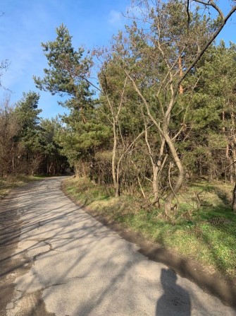 В продаже участки в Обуховке - фото 1