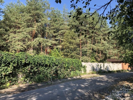 У продажу ділянка 20сот у сосновому лісі свій вихід до води. 40000 $ Орлівщина