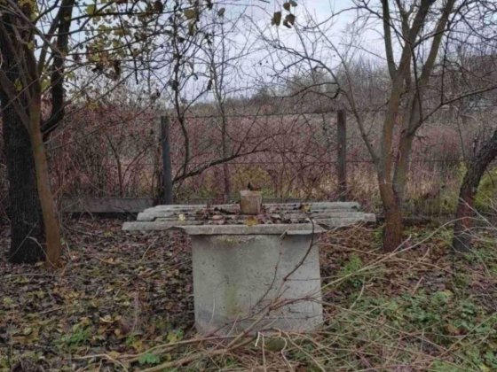 Продам землю 50 соток  кадастр и 2 дома Орлівщина