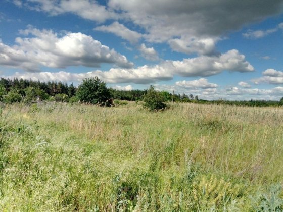 Продам участок в м.Самар Орлівщина