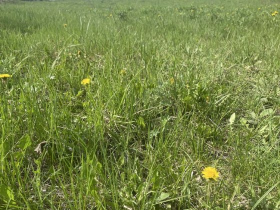 Продам участок земли Орлівщина