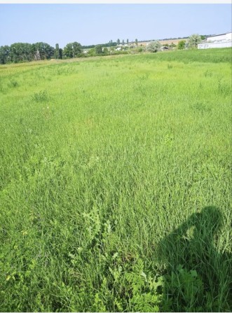 Продам земельный участок - фото 1