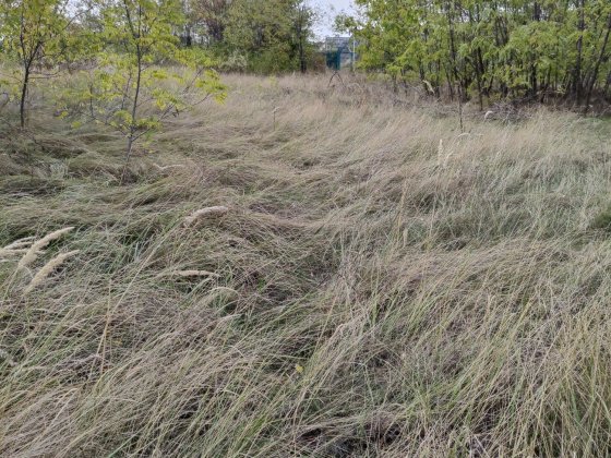 Земельна ділянка Верхнеднепровск