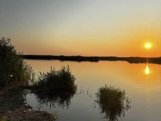 Продам участок на берегу Самары. Новоселовка