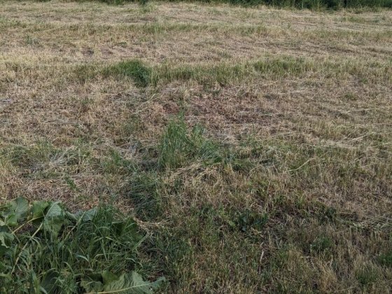 Продам земельну ділянку Новоселовка