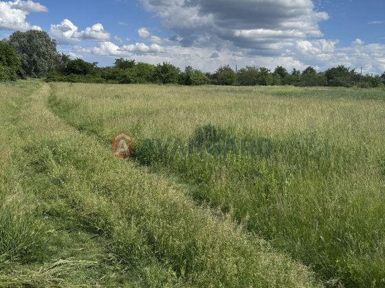 Продам земельну ділянку Єлизаветіка Елизаветовка