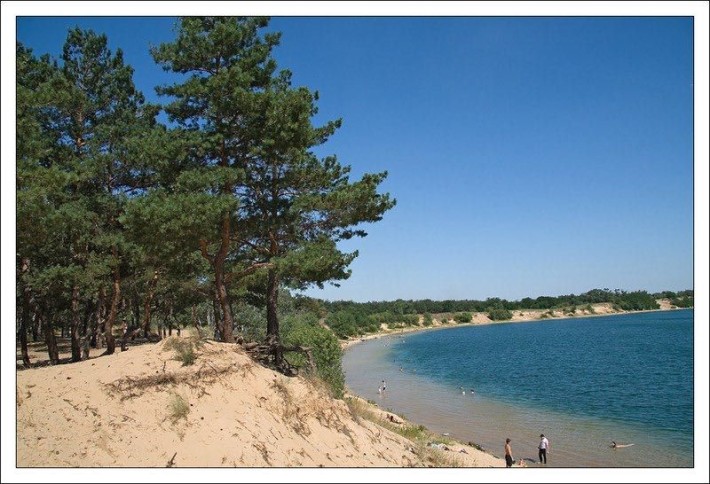 Земельні ділянки в сосновому лісі біля блакитного озера - фото 1