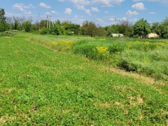 Продам земельный участок  25 соток, Новоселовка Новоселовка