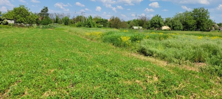 Продам земельный участок  25 соток, Новоселовка - фото 1