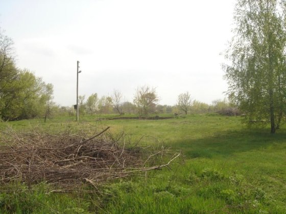 Земельну ділянку Елизаветовка