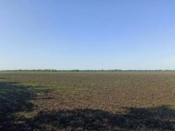 Продам пай Апостоловский район Апостолове