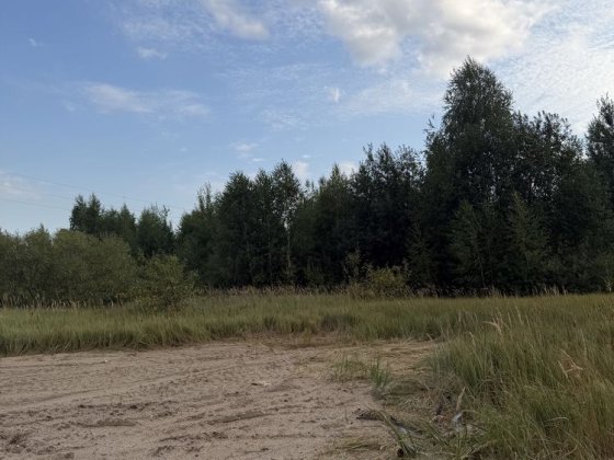 Продаж ділянки с. Тетерівка сторона річки Тетеревка