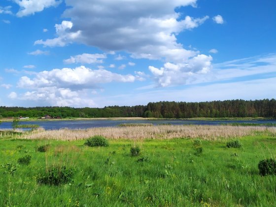 10 соток під забудову на березі р. Мика, 600 метрів від Замку  Радомисль (м. РАДОМИШЛЬ) Радомышль