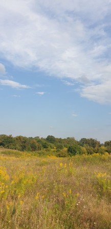 Продаж. Ділянка 14 сот, с. Станишівка. - фото 1