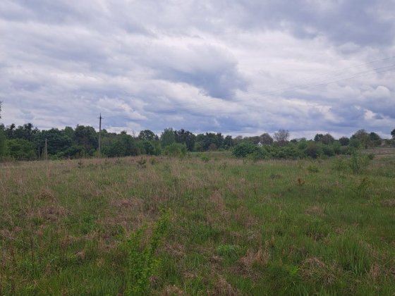 Земельна ділянка Станишівка Станишовка