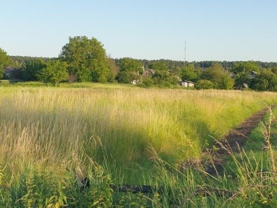 Продаж. Ділянка 14 сот, с. Зарічани. Заречаны