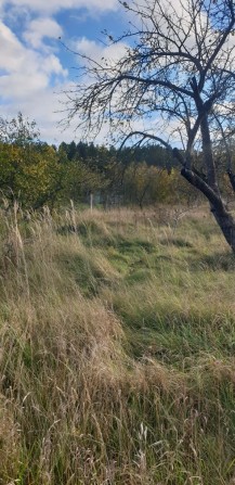 Продаж. Ділянка 35 сот з комунікаціями, в центрі Зарічан. - фото 1