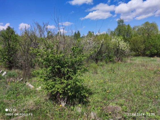 Продаж ділянки 9 сот. поруч з лісом, Барашівський масив Барашівка