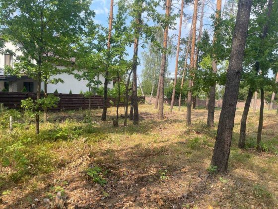 Ділянка в мальовничому місті, з соснами, в с. Пряжів Пряжов