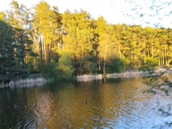 Чудова локація! Продаю Земельна ділянка Садове товариство "Трудівник"(Пряжів) Пряжов