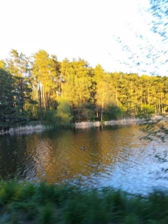 Чудова локація! Продаю Земельна ділянка Садове товариство "Трудівник"(Пряжів) - фото 1