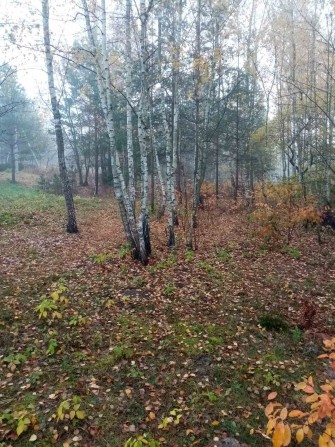 Продам ділянку 12сот. у садове тов. "Любава"  с. Пряжів Озеро - фото 1