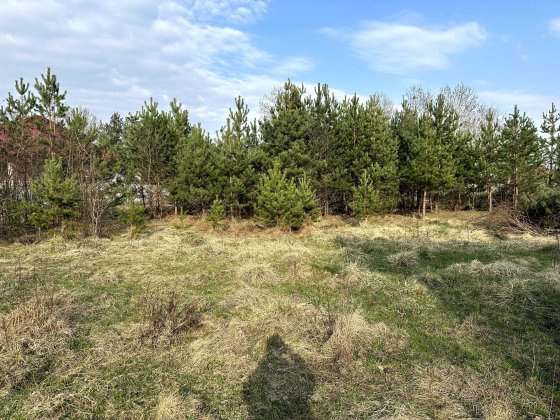 Земельна ділянка під забудову село Іванівка Ивановка