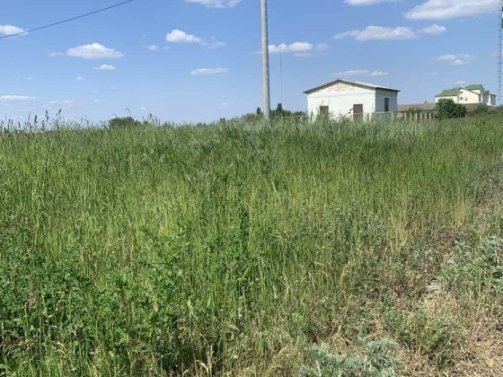 Продаю  дві землі під будівництво Брусилов
