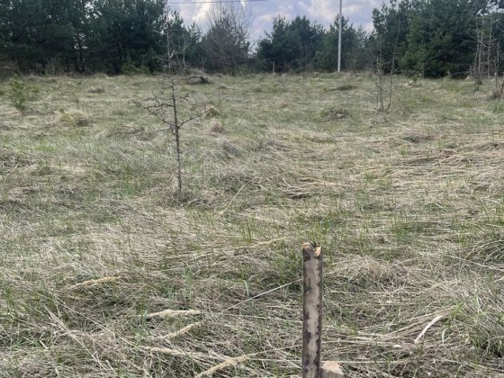 Земельна ділянка під забудову Брусилов