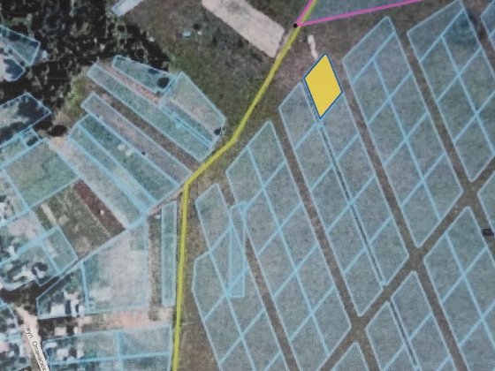 Продам земельну ділянку Брусилів Брусилов
