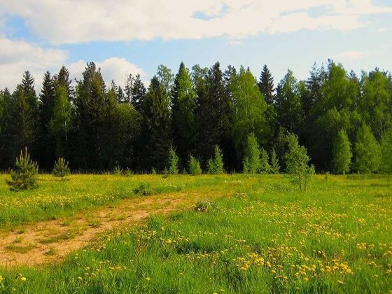 Земельна ділянка під забудову 11,5 сот. с. Глибочиця Глубочица