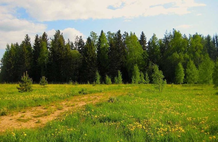 Земельна ділянка під забудову 11,5 сот. с. Глибочиця - фото 1
