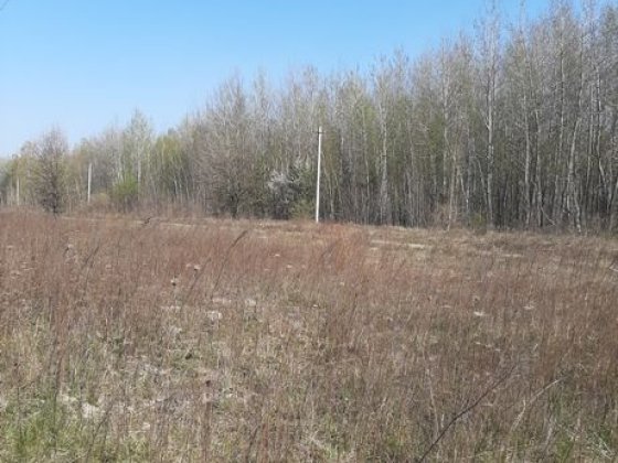 Продам земельну ділянку Глибочиця Житомирський район Глубочица