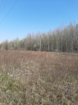 Продам земельну ділянку Глибочиця Житомирський район - фото 1
