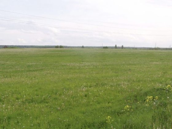 Земельна ділянка сг 2Га Барановка