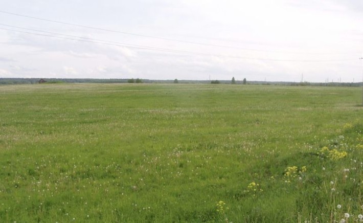 Земельна ділянка сг 2Га - фото 1