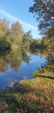 Продається земельна ділянка 12 сот біля річки в Денишах – місце, де природа надихає! - фото 1