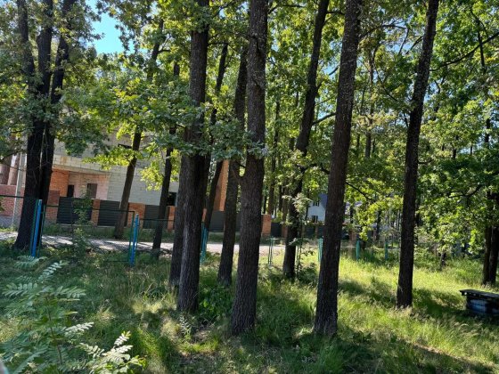 Ділянка в дубах, с.Довжик (26140431) Довжик