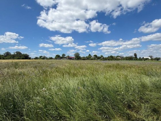 Продам земельну ділянку під забудову в с.Сінгури Сингури