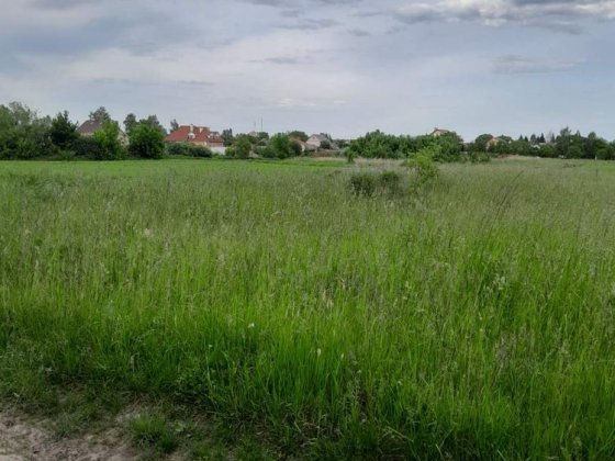 Продам земельну ділянку 36 соток Сингури